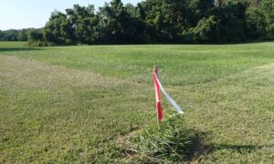 Plat of survey property boundary marker - ALTA SURVEY Georgia Survey stake marking a residential property boundary