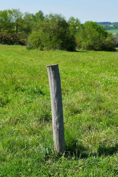 Property boundary marker in yard - ALTA SURVEY Georgia A wooden property boundary marker standing in a grassy yard, showing how land lines can shift as new development begins nearby