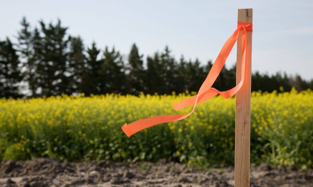 Wooden boundary stake with ribbon marking a residential property line during a property line survey