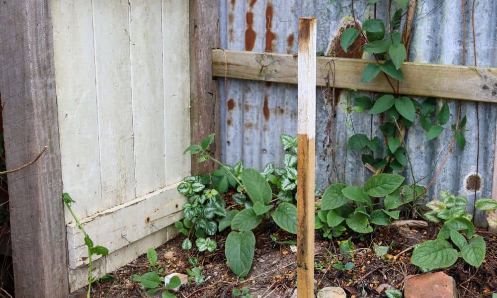 Land survey for fence placement showing a wooden stake marking the property boundary near an existing fence
