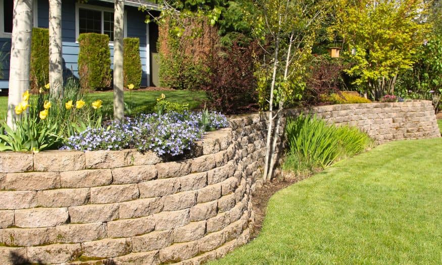 Topographic survey showing slope and elevation changes in a backyard with a retaining wall