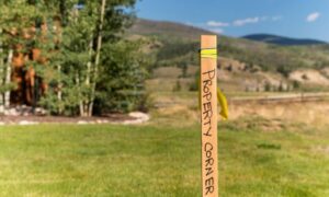 Property line marker stake showing a land boundary in a residential yard