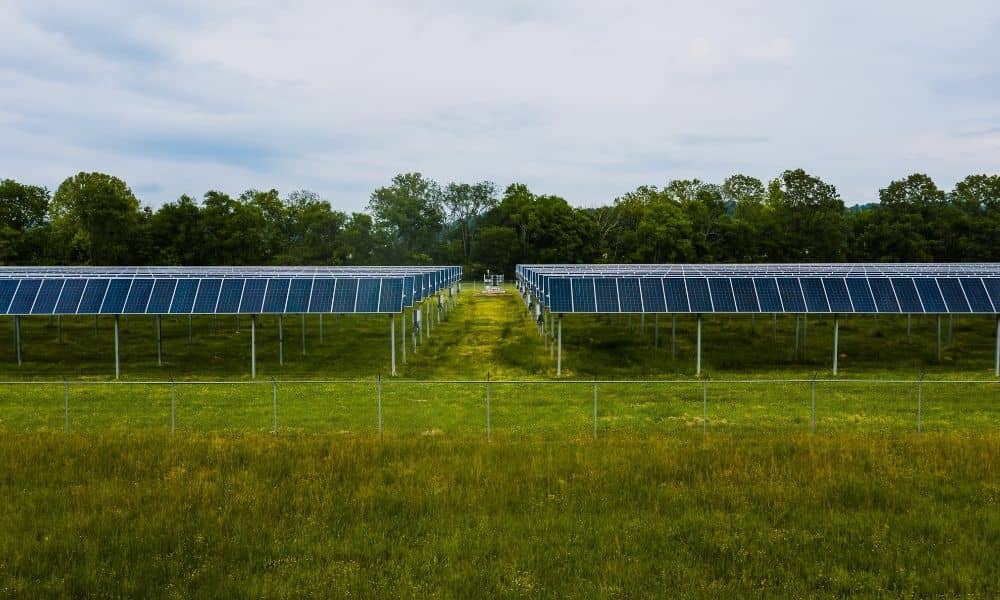 Solar panels across a grassy site illustrating the terrain and existing conditions considered in a topographic survey